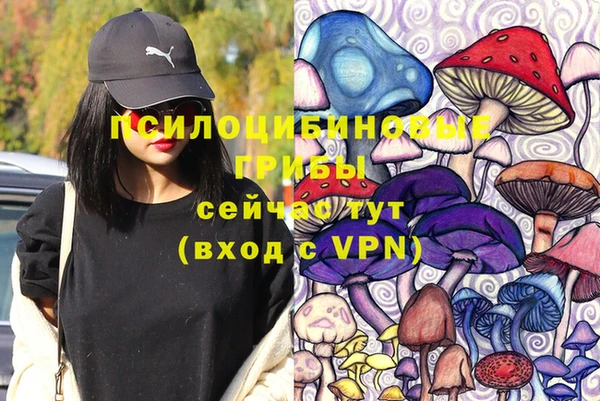 скорость Алексин
