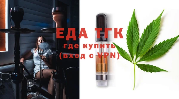 гашик Заречный