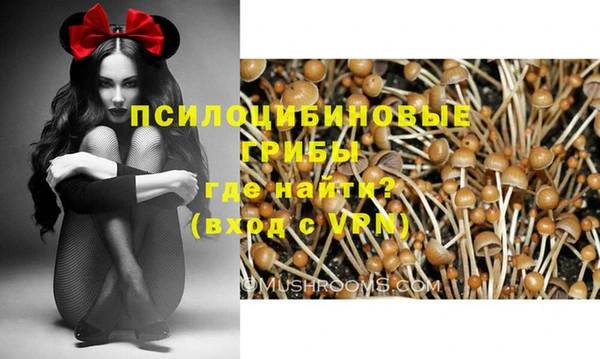 Альфа ПВП Заполярный