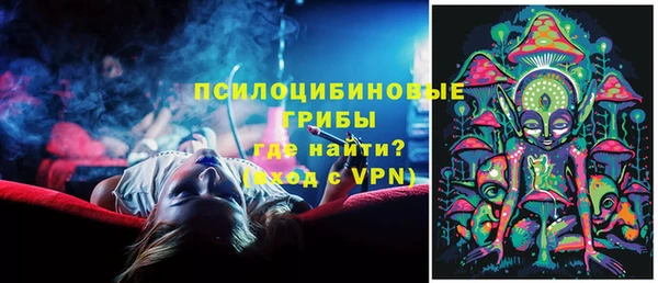 твердый Алексеевка