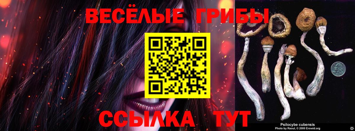 Кореновск  Псилоцибиновые грибы MAGIC MUSHROOMS  Вход с VPN 